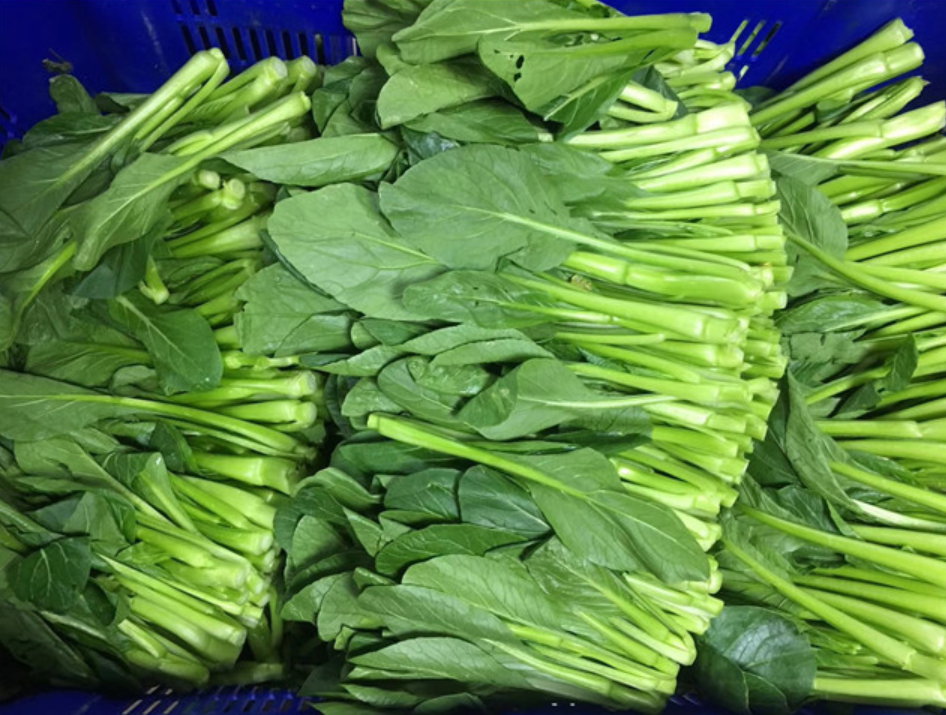 生鲜食材配送